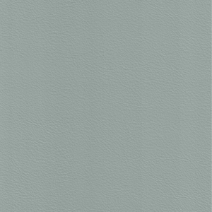 Pale Slate