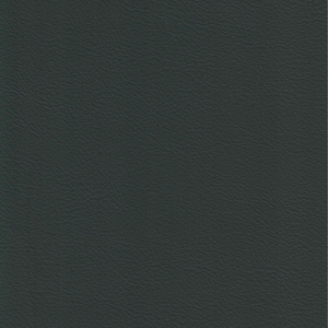 Eucalyptus