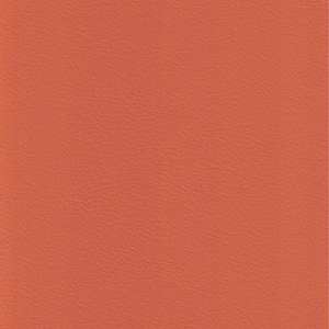 Tropical Peach