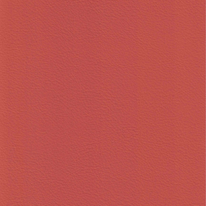 Sunset Coral