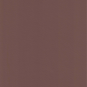Dusty Cognac