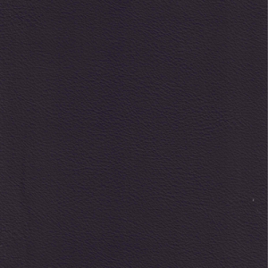 Vintage Plum