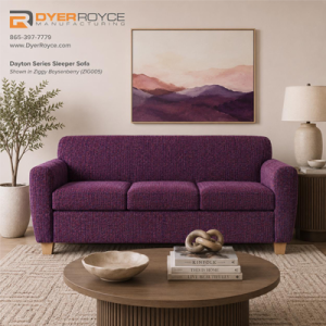 Sleeper Sofa